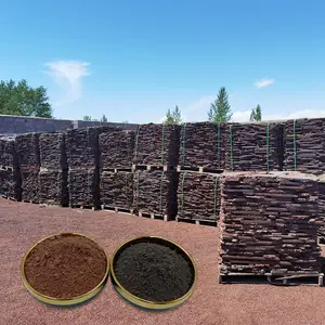 Selling Volcanic Stone Pumice For Fixing Water Plants Landscaping Handmade Soap Paving
