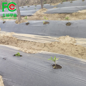 Paillis plastique organique, couverture de sol pour l'agriculture de jardin, film anti-mauvaises herbes, paillis pour le contrôle des mauvaises herbes, couverture de sol anti-herbe - Product Image 5