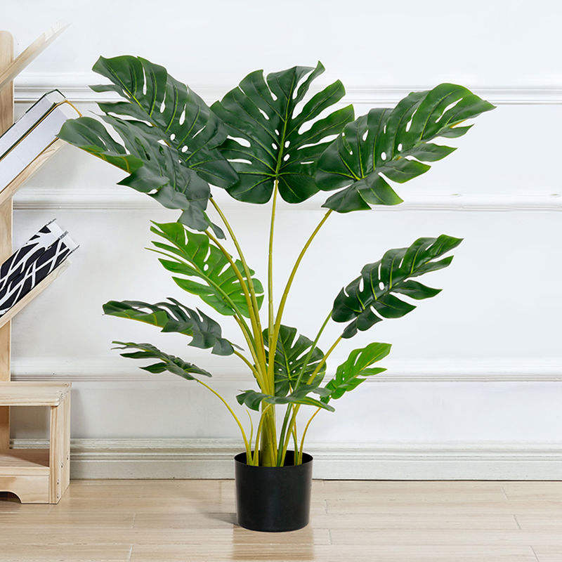 1.2m tortue en arrière (offre spéciale)