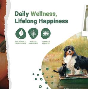 Polvo de calabaza deshidratado orgánico, ayuda digestiva para perros, suplemento <span class=keywords><strong>natural</strong></span> para perros, golosinas para mascotas para aliviar la diarrea y la salud intestinal - Product Image 6