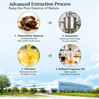Huile de parfum concentrée en gros, musc naturel, qualité industrielle, cosmétique, biologique, à base d'huile, haute qualité