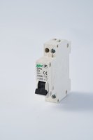 Interruptor de Circuito en Miniatura JUNW DPN C65 C45 3A 6A 10A