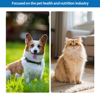 Poudre de Soutien Immunitaire pour Chiens et Chats, Santé Dentaire, 100g, avec Mélange Haleine Fraîche et Absorption Rapide, Vente en Gros OEM