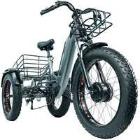 2022 חדש דגם מפעל סיטונאי מטען ebike עם גדול סל 3 גלגלים חשמלי מטען אופניים