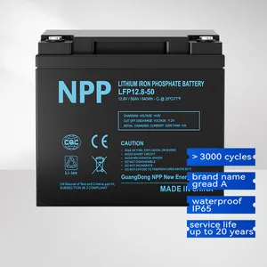 Home Energy Storage Lifepo4 Battery Pack Waterproof 12V 24V 100Ah 200Ah 300Ah 500Ah Lifepo4 Solar Battery Pack With LCD Display