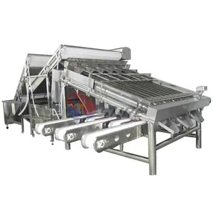 Hot Selling fish/shrimp sea food processing line plant grading machine