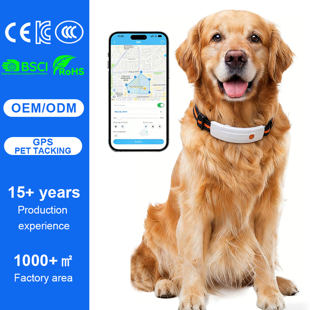 Qcool Digital Finder Glowing Strap Program Driven Private Label Motion Record Range Limit Power Supply Pet Dog Led Gps Collar