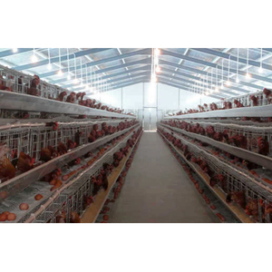 Nouveau design à faible coût construction agricole structure en acier ferme avicole plan de poulailler à vendre - Product Image 1