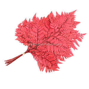 Fiori Secchi e <span class=keywords><strong>Felce</strong></span> in Pelle Preservata Best Seller per Decorazioni Domestiche per la Celebrazione del Capodanno Cinese - Product Image 2