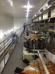 प्रतिस्पर्धी!! आर्थिक उच्च सपना वजन और पैकिंग मशीन Multihead संयोजन तुला पैकेजिंग मशीन - Product Image 5