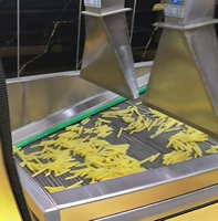 Automatische Chinese Bevroren Frietjes Lijn Gebakken Kippenvlees Snack Aardappelchips Maken Machine Fruitgroentemachines