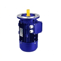 Moteur asynchrone monophasé OMEIK série MY 0,75 kW 1 CV, protection IP54, 3000 tr/min, montage sur pied 130 mm pour meuleuse