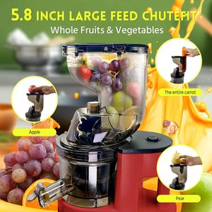 Extracteur de jus automatique en acier inoxydable à large goulot, avec capacité de 380 ml et séparation des résidus pour un jus pur et non concentré - Product Image 6