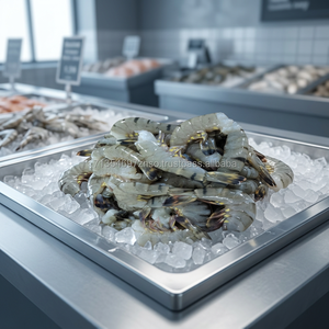 Camarones Blancos Congelados, Proceso de Congelación IQF, Certificación ISO, 10 kg, Alta Calidad, Sudáfrica, Sin Piel, Pelados, con Cola, Envasados al Vacío - Product Image 2