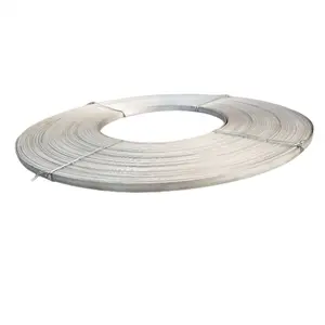 Nichrome Strip Price Nickel Nichrome Cr25Ni20 Heat Resistant Magnetic Alloy Strip