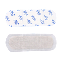 Patch de soin jetable personnalisé au lotus des neiges, coussinets en coton rafraîchissants et nourrissants pour l'hygiène intime féminine