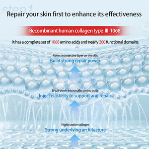 OEM Anti-Aging-Reparatur Reduzieren Sie feine Linien Hydrat ion Booster Rekombinantes menschliches Kollagen Anti-Falten-Reparatur-Serum-Gel für das Gesicht - Product Image 5