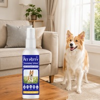 Spray d'apprentissage de la propreté pour chiens OEM ODM 100ml – Aide à la propreté des chiots, dissuade le marquage des ordures sur tapis, meubles, rideaux et lits