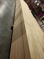 Tavola per Ponteggi H20 con Certificazione OSHA LVL, Dimensioni Personalizzate per Paesi del Golfo