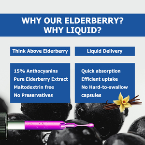 Factory Direct Organic Elderberry Liquid Drops with <b>Vanilla</b> Extract Extra Strength Immune Support Liquid Vegan Formula Drops - Product Image 4