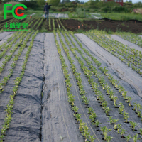 Membrane tissée en PP Tapis de sol PE anti-herbe Tapis de sol anti-herbe