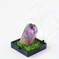 Boîte de rangement pour spécimens minéraux en acrylique, boîte de présentation pour cristaux naturels, pierres brutes, agates, avec accents d'herbe