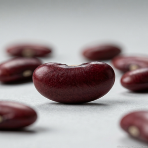 Harvest Fresh - Haricots rouges indiens entiers de haute qualité, naturels, Rajma, durée de conservation de 24 mois, export en vrac, vente en gros, Gujarat - Product Image 3