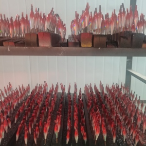 Usine OEM 8CM Crevettes en bois Leurre de pêche artificiel Vente en gros EGI <span class=keywords><strong>Duel</strong></span> Squid Jig - Product Image 5