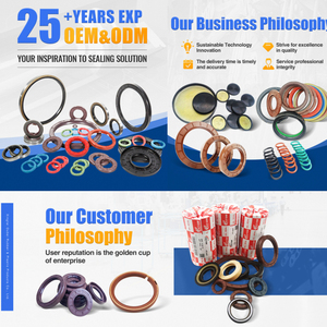 TC con dấu dầu 15*35*7 trong NBR FKM cho các bộ phận tự động kích thước nhỏ dầu niêm phong - Product Image 6