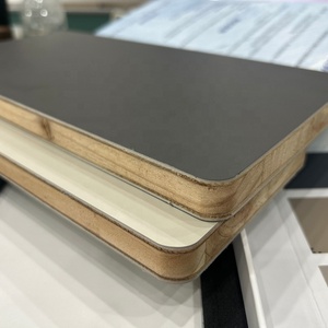 Kích thước 4x9 cử<span class=keywords><strong>a</strong></span> tủ chống cháy cho ván ép biển cách âm mạnh mẽ benzen E0 tiêu chuẩn khí thải formaldehyd - Product Image 3