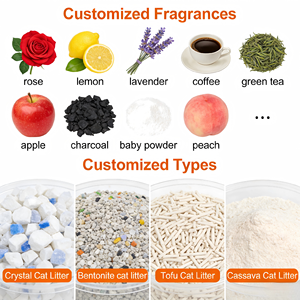 Litière <span class=keywords><strong>pour</strong></span> <span class=keywords><strong>chat</strong></span> en bentonite, parfum pomme, écologique, désodorisante, forte répulsion à la poussière, de qualité supérieure, fabriquée par BENJIE, fabricant OEM. - Product Image 3