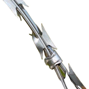 <span class=keywords><strong>ลวดหนาม</strong></span>เหล็กกล้าไร้สนิมชุบสังกะสีสำหรับรั้วป้องกันความปลอดภัย |   ทนทานต่อการกัดกร่อนระดับสูง ขายส่ง - Product Image 1