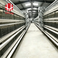 Nouveau système de cages automatiques Yifeng de type H pour poulets pondeurs, capacité 10000, 20000, 50000 oiseaux, avec abreuvoir à tétine, alimentation et collecte d'œufs, faible coût