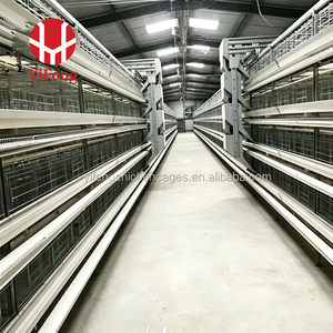 Nuevo Sistema Automático <span class=keywords><strong>de</strong></span> Jaulas Tipo H Yifeng para Gallinas Ponedoras, para 10000, 20000, 50000 Aves, con Bebedero <span class=keywords><strong>de</strong></span> Niple, Alimentación y Recolección <span class=keywords><strong>de</strong></span> <span class=keywords><strong>Huevos</strong></span>, Bajo Costo - Product Image 4