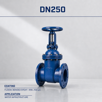 Fusionsverschweißtes, epoxidbeschichtetes Gusseisen-Absperrschieber DN250, flanschgekoppelt, mit steigendem Spindelkopf, PN10/PN16, EN-Standard für Wasserinfrastruktur