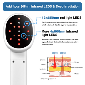 Tıbbi lazer veteriner araçları at ağrı kesici kedi yosun cilt köpek eklemler için lazer fizik tedavi cihazı - Product Image 5