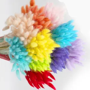 Bouquet Material Dried Flowers Rabbit Tail Grass Bouquets Bunny Tails For Flower Decoration