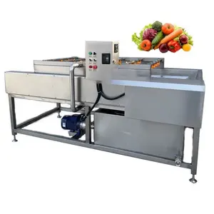 Lavadora de cepillado de verduras de mayor resistencia anti-resistente de cadena industrial de doble fila de alta calidad