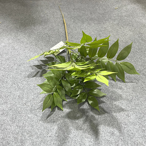 Nuevas Ramas Artificiales Realistas de <span class=keywords><strong>Nandina</strong></span> en Tamaños de 70CM/80CM/110CM |   Directo de Fábrica |   Plazo de entrega rápido |   Suministros Profesionales para Floristas - Product Image 2