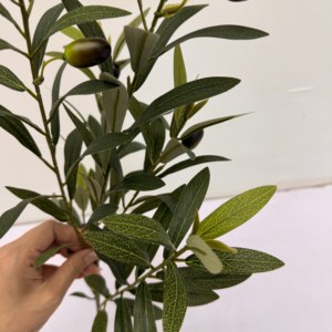 Tiges d'<span class=keywords><strong>olivier</strong></span> artificielles, branches d'<span class=keywords><strong>olivier</strong></span> avec feuilles et fruits en soie pour la décoration intérieure, la fabrication de couronnes, accessoires pour plantes - Product Image 5
