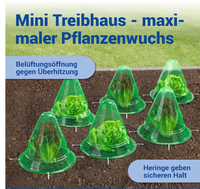 Protège-plantes anti-escargots 27 cm x 24 cm en plastique – Protection contre le gel, les insectes et les oiseaux – Mini-serre de protection