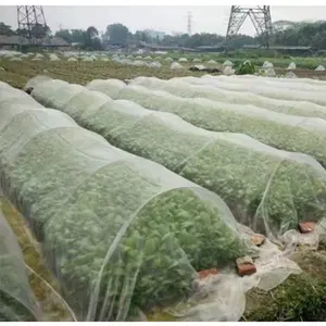 Anti Insect Netting Hdpe Bug Catching Net Uv Resistant Plastic 80mesh Anti-Insect Nets For Orchard Vineyard