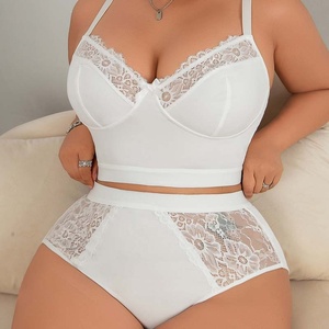 Conjunto de lencería elegante de poliéster de talla grande, con copa completa, encaje semitransparente, push-up, escote en V profundo, sin broches, para venta transfronteriza. - Product Image 3