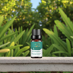 Huile essentielle d'eucalyptus pour la croissance des cheveux et la revitalisation de la peau avec un parfum stimulant - Product Image 1