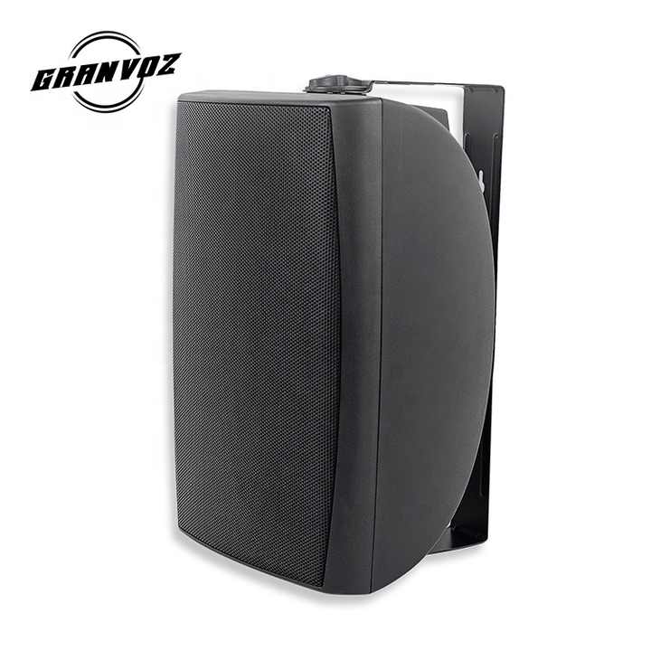 OEM 1\" 6.5 Inch 8 Ohm 60W Tweeter Ceiling Speakers with Wall Mount Amplifier Product Category High-Audio Quality Speakers