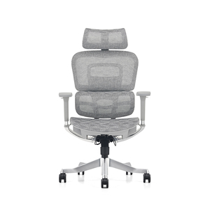 Silla Ergonómica de Oficina Ajustable con Asiento de Malla Plástica de Diseño Moderno, Base de Aleación de <span class=keywords><strong>Aluminio</strong></span> y Reposapiés, Garantía de 5 Años - Product Image 5