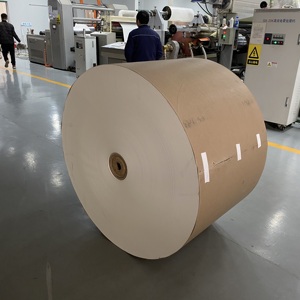 Rouleau de papier kraft enduit de PE pour la fabrication de gobelets et de bols, 160 g/m² - Product Image 2