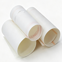 Película de Poliéster en Oferta, Materiales de Aislamiento Flexibles, Papel de Aislamiento Nomex Dupont 6640 NMN para Transformadores de Potencia y Motores