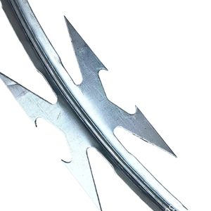 Protezione di sicurezza per sottostazioni elettriche e strutture chiave: Filo spinato antifurto per pareti esterne anticorrosione - Product Image 3