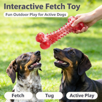Jouet à mâcher pour chien, jouet en forme d'os pour chien, jouet en caoutchouc pour les molaires, nettoyage des dents, résistant et durable pour les chiens agressifs